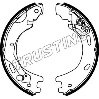 Jeu de mâchoires de frein, frein de stationnement TRUSTING OEM LR021877