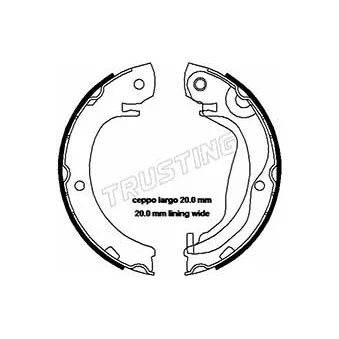 Jeu de mâchoires de frein, frein de stationnement TRUSTING OEM 044950F010
