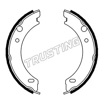 Jeu de mâchoires de frein, frein de stationnement TRUSTING OEM 2721348