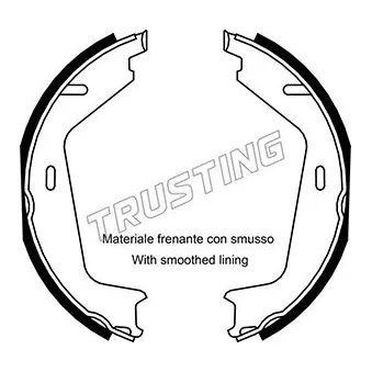 Jeu de mâchoires de frein, frein de stationnement TRUSTING OEM 31262874