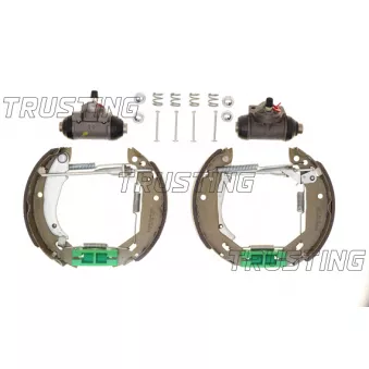 TRUSTING 6020 - Jeu de mâchoires de frein