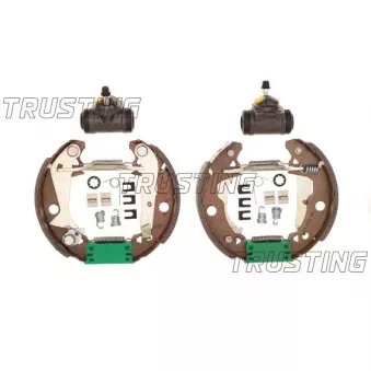 TRUSTING 6051 - Jeu de mâchoires de frein