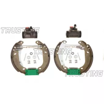 TRUSTING 6056 - Jeu de mâchoires de frein