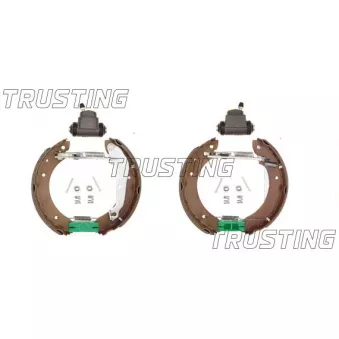 Jeu de mâchoires de frein TRUSTING [6093]