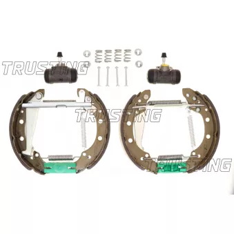TRUSTING 6137 - Jeu de mâchoires de frein