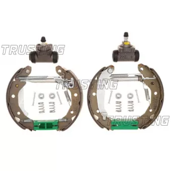 TRUSTING 6254 - Jeu de mâchoires de frein