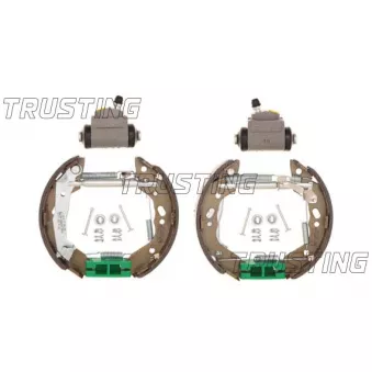 TRUSTING 6449 - Jeu de mâchoires de frein