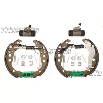 TRUSTING 6451 - Jeu de mâchoires de frein