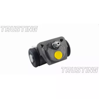 Cylindre de roue TRUSTING OEM 6808556