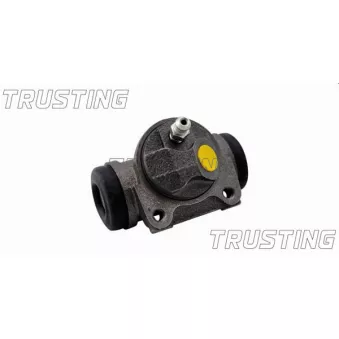 Cylindre de roue TRUSTING OEM 4402C2