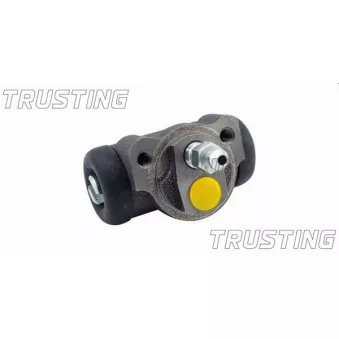 Cylindre de roue TRUSTING CF269