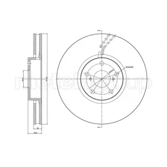 Disque de frein arrière droit TRUSTING OEM 4351222260