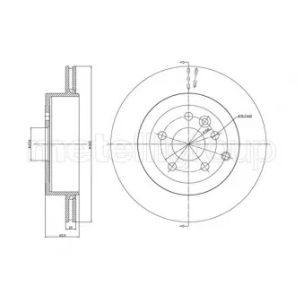 Jeu de 2 disques de frein arrière TRUSTING OEM LR001019