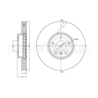 TRUSTING DF1647 - Disque de frein arrière gauche