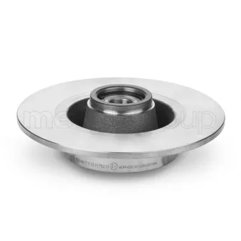 Jeu de 2 disques de frein arrière TRUSTING OEM 7701207823