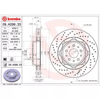 AP 20288 Z - Jeu de 2 disques de frein avant