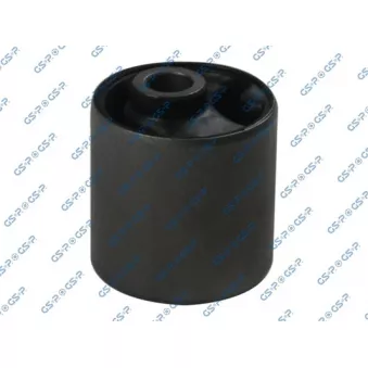 GSP 516367 - Suspension, Différentiel