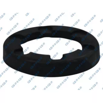 GSP 517593 - Patin de ressort