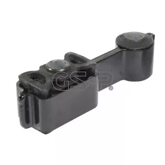 Support moteur GSP [519090]