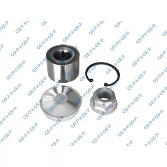 Roulement de roue arrière GSP OEM 432108237R