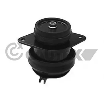 Support moteur arrière droit CAUTEX OEM 1H0199262E
