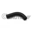 CAUTEX 016165 - Durite de radiateur