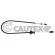 Câble d'accélération CAUTEX [018965]