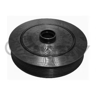 Poulie, vilebrequin CAUTEX OEM 8200297936