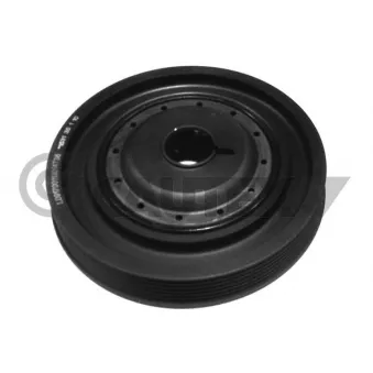 Poulie, vilebrequin CAUTEX OEM 8200477938