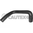 CAUTEX 026133 - Durite de radiateur