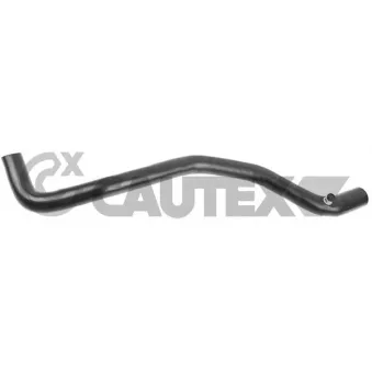 Durite de radiateur CAUTEX 026186