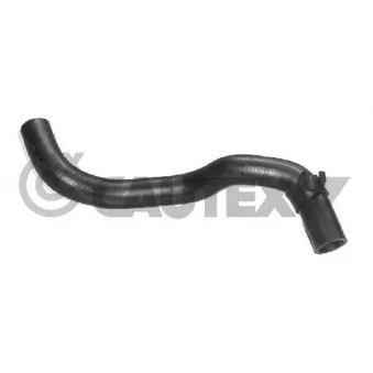 CAUTEX 026496 - Durite de radiateur