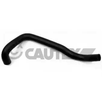 Durite de radiateur CAUTEX 026505