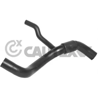CAUTEX 026589 - Durite de radiateur