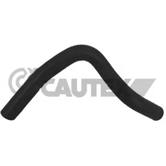 Durite de radiateur CAUTEX OEM 7701044900