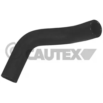 Durite de radiateur CAUTEX 026818