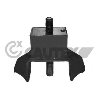 Support moteur CAUTEX OEM 184416
