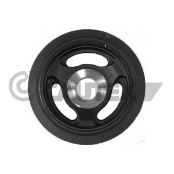 Poulie, vilebrequin CAUTEX OEM AV6Q6B319AA