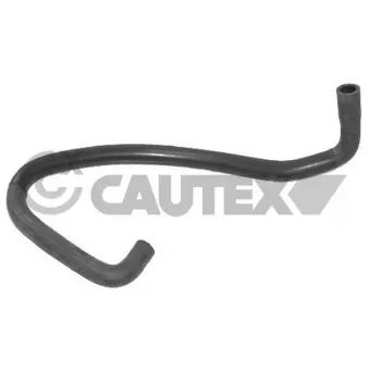 CAUTEX 031086 - Durite de radiateur