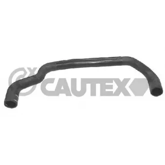 Durite de radiateur CAUTEX OEM 1351P3