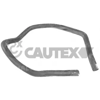 Durite de radiateur CAUTEX 031305