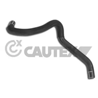 Durite de radiateur CAUTEX 031348
