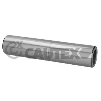 Suspension, jambe d'essieu CAUTEX 031443
