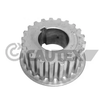 Roue dentée, arbre de commande de distributeur CAUTEX 031467