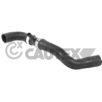 Durite de radiateur CAUTEX OEM 135210