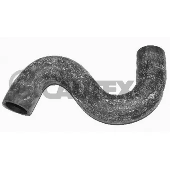Durite de radiateur CAUTEX 035076