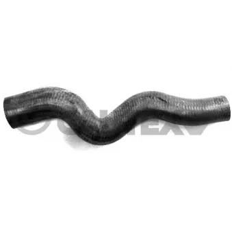 Durite de radiateur CAUTEX 035077