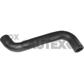 Durite de radiateur CAUTEX 036004