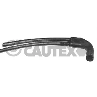 Durite de radiateur CAUTEX 036011