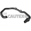 CAUTEX 036050 - Durite de radiateur